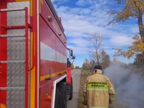 Возле трассы между Благовещенском и Белогорском тушат пожар видео