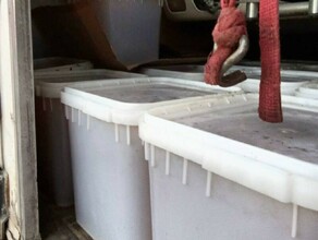 В Амурской области уничтожат больше тонны подозрительного меда
