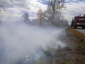 Пал близ амурской трассы ликвидировали