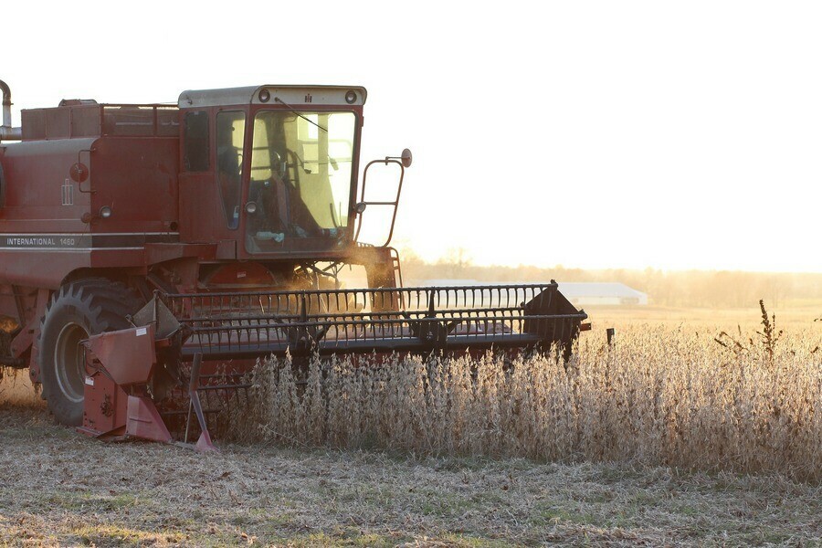 Зерновых в Приамурье собрали с меньшей площади но с большей урожайностью