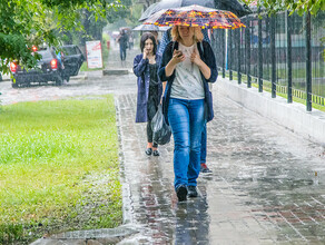 Жара отступила местами ливни прогноз погоды в Приамурье на 21 июля