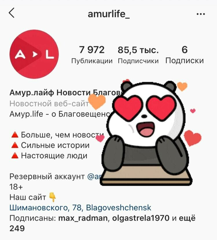 Инстаграм Amurlife разблокировали Мы снова в сети