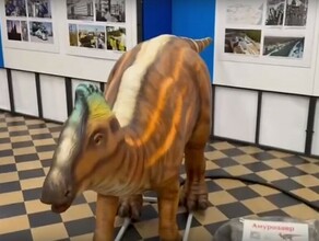 Двигается и рычит аналог оживших рептилий Дарвиновского музея поселился в Амурском краеведческом музее видео