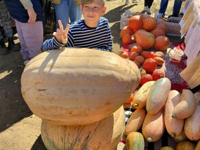 Бамовские манты и частушечный баттл VIII Тыквофест в Сергеевке накормил и развлек почти тысячу гостей