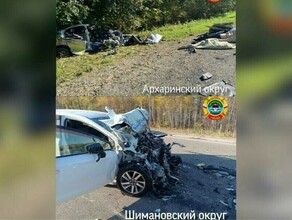 В Приамурье арестован водитель большегруза совершивший  ДТП с тремя погибшими двое из которых дети