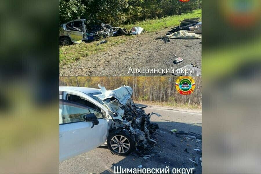 В Приамурье арестован водитель большегруза совершивший  ДТП с тремя погибшими двое из которых дети