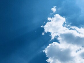 20градусное тепло прогнозируют амурские синоптики 