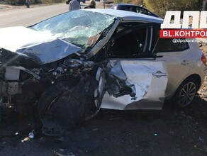 Жук залетевший в салон авто стал причиной жесткой аварии в Чигирях фото