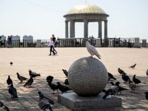 Благовещенск признали Городом где хочется жить