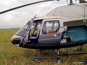На Дальнем Востоке вертолётчик едва не порубил лопастями стаю редчайших пеликанообразных птиц