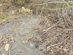 Была мысль вызвать полицию благовещенцы заметили возле своего коттеджа незнакомцев поведение которых вызвало тревогу