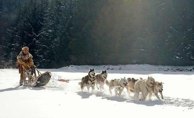 В Амурской области холодно прогноз погоды на 19 декабря