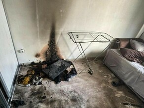 Сделала все что нельзя в Чигирях девушка устроила пожар погибла кошка