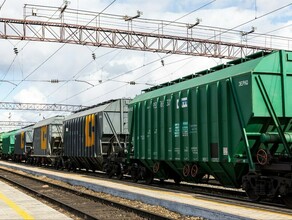Амурская область за год вдвое нарастила объем отгрузки зерна и сои по железной дороге 