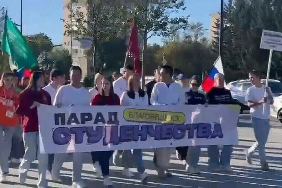 Куда пошли учиться выпускники итоги приемной кампании подвели в Приамурье