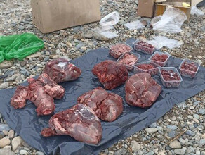У брошенного поселка в Амурской области поймали браконьеров с мясом косули