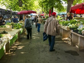 В России могут заморозить цены на овощи