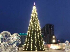 В Благовещенске раньше времени зажгли новогоднюю елку видео