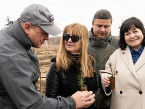Амурские депутаты взяли в руки сосны и приняли участие в посадке бора 