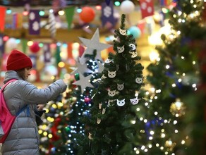 В России с 1 января вступят в силу новые требования к установке новогодней елки