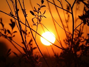 В последний день уходящей недели в Приамурье потеплеет 