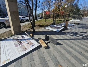 Ветер во Владивостоке валит деревья рекламные щиты и столбы фото