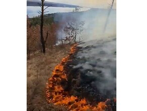 Названа предварительная причина сильного пожара на Сопке любви в Амурской области