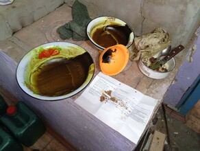 Мешки с коноплей гашишное масло и оружие нашли полицейские у двух амурчан фото
