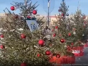 В честь Благовещенска на площади Читы установили новогоднюю елку видео