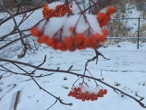 Прогноз погоды в Амурской области на 3 ноября