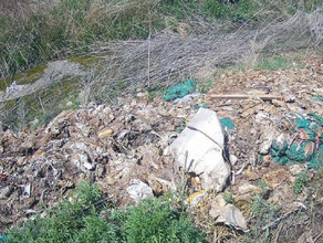 В Приамурье захламили сельхозучастки ставшие непригодными для использования