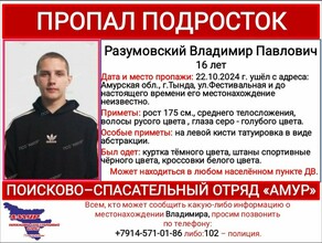 Две недели в Амурской области не могут найти пропавшего подростка