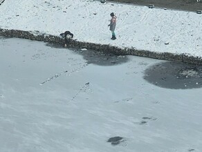 Благовещенцев предупреждают об опасности в парке Дружбы и просят поговорить с детьми