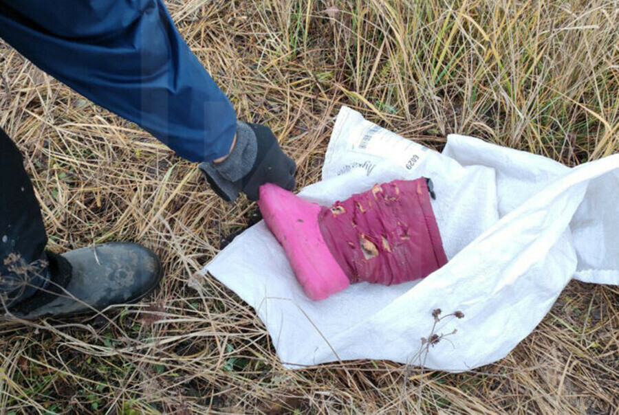 Звонила моля о помощи обезображенное тело женщины со множественными укусами собак нашли в Казани