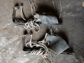 В Приамурье задержали иностранцев и жителя ЕАО которые покусились на редкие деревья