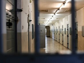 Амурчанка выдумала двух детей обманула государство и теперь может попасть за решетку