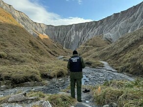 Медведь на Дальнем Востоке частично снял скальп с туриста
