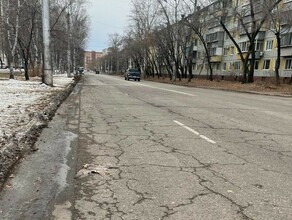 Смотрите какие хищники гибнут труп птицы в микрорайоне Благовещенска вызвал вопросы у горожан фото
