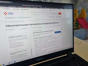 Амурским матерям в декрете предлагают дистанционное обучение новым профессиям