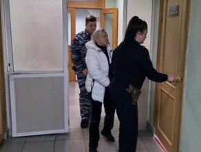 В Приамурье взяли под стражу руководителя одной из служб минздрава Её обвиняют в совершении тяжкого преступления