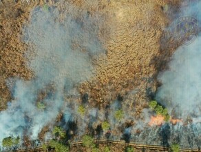 Два известных заповедника Амурской области наказаны за крупные пожары