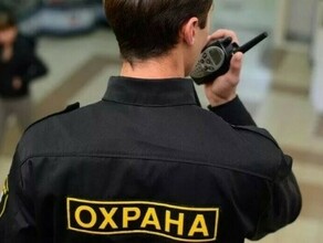 Госдума приняла поправку об использовании ЧОП оружия