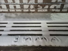 Прогноз погоды в Амурской области на 30 ноября