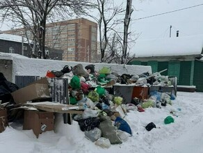 Амурчан просят присылать фото переполненных контейнеров Вывозить мусор будут при условии расчищенной дороги