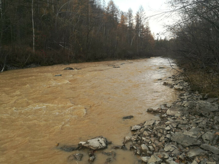 Золотодобытчики в Амурской области причинили вред реке почти на 200 миллионов рублей