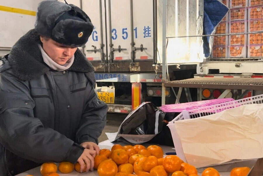 Красную померанцевую щитовку обнаружили в Приамурье в мандаринах из Китая