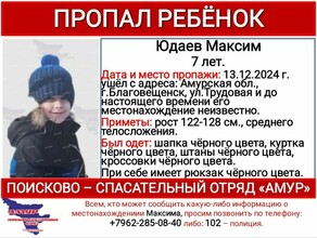 Не дошел до дома из школы в Благовещенске пропал маленький ребенок 