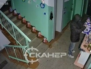 Украденные елки и разбитые фигуры в Благовещенске активизировались гринчи фото видео