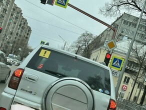 Под колесами начинающих водителей в Приамурье погибли 6 человек