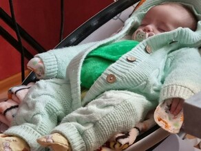 Власти Приамурья рассказали о выплате от государства при рождении первенца Какие условия 